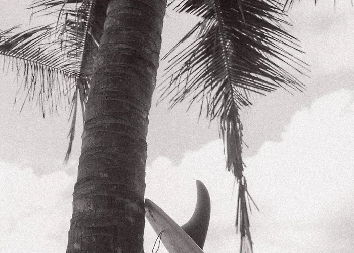 Surf Bali